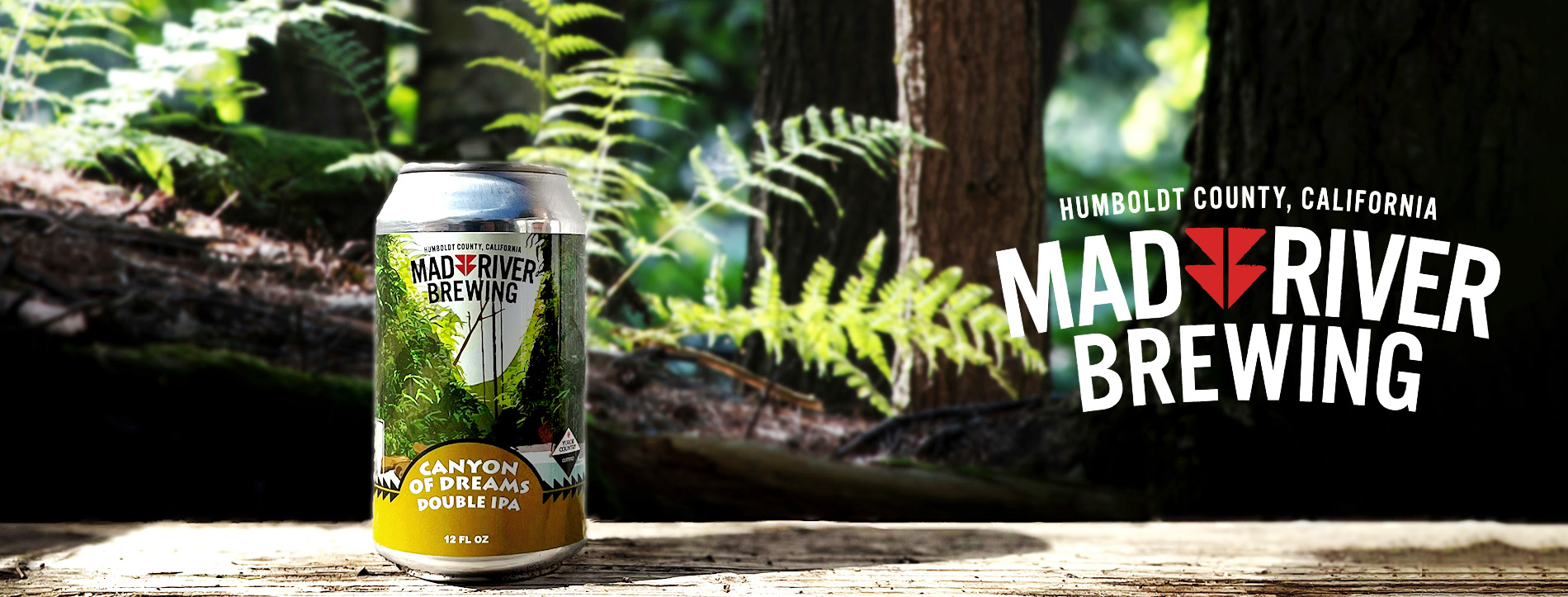 A 12oz can of Mad River Brewery's April 2023 release, Canyon of Dreams IPA sits on a table with a backdrop of ferns and redwoods.